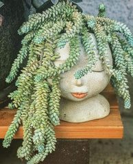 Lady Of The Flowers Head Planter