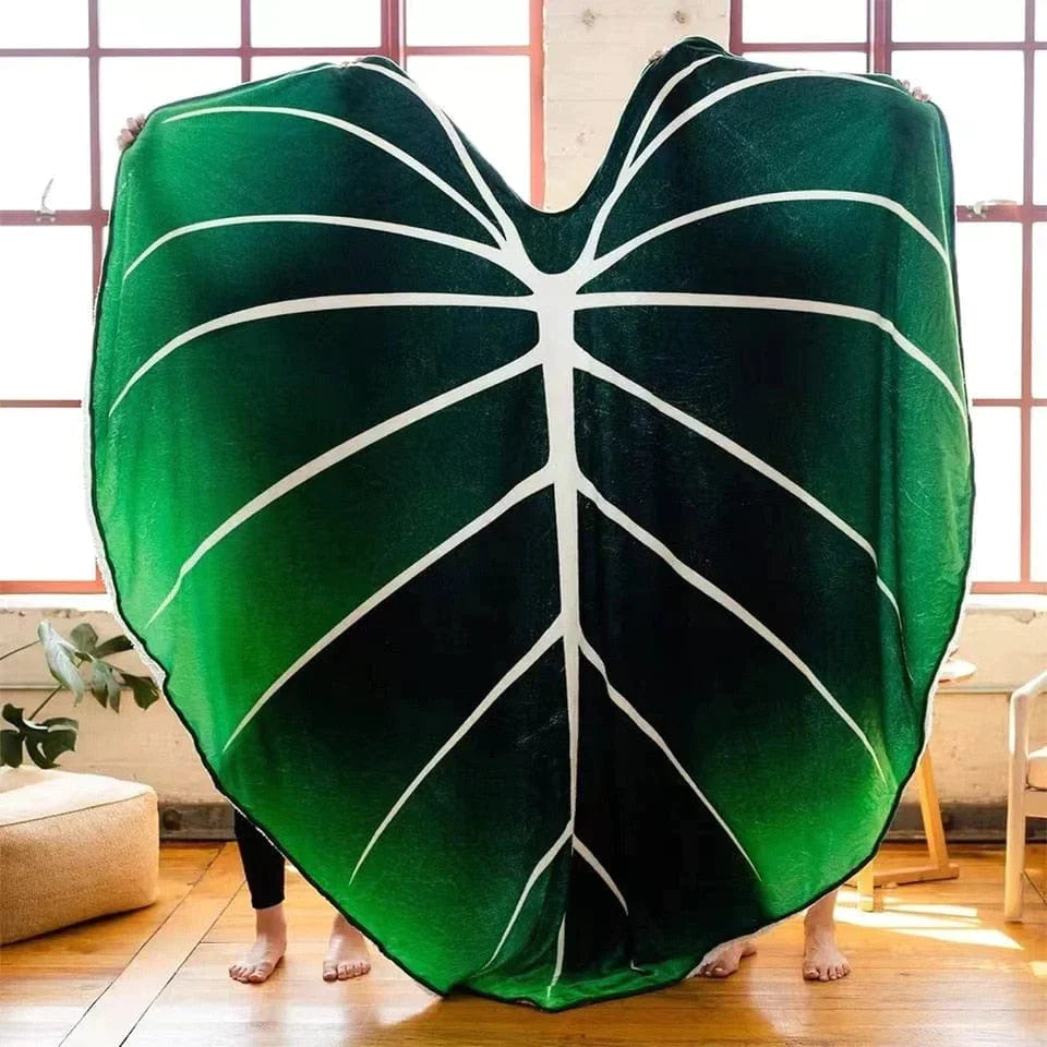 Philodendron Gloriosum Giant Leaf Blanket