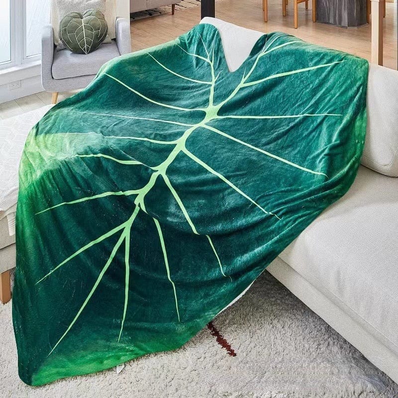 Philodendron Gloriosum Giant Leaf Blanket