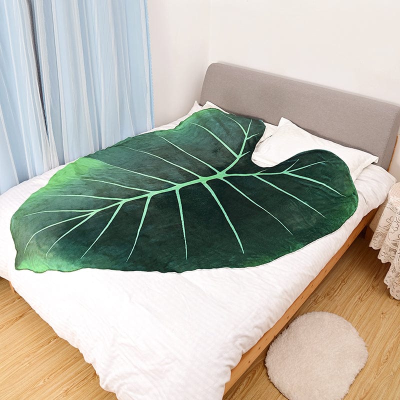 Philodendron Gloriosum Giant Leaf Blanket