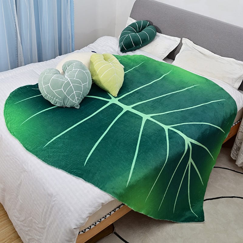 Philodendron Gloriosum Giant Leaf Blanket