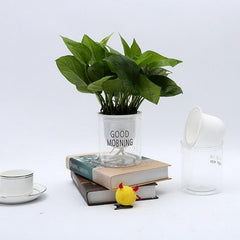 Hydroponic Lazy Self-Watering Flowerpot