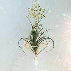 Lotus Plant Hanger Suncatcher