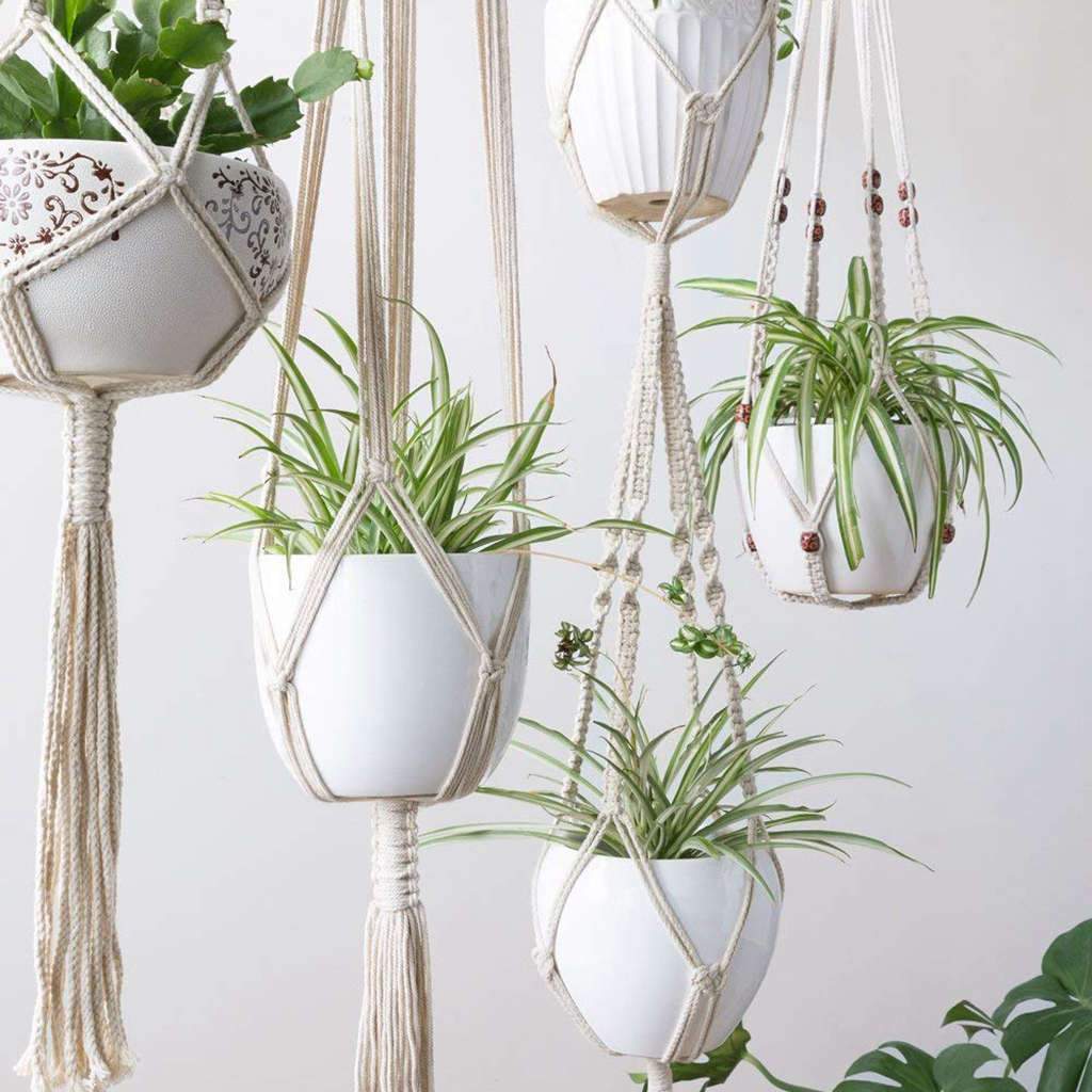 Macrame Plant Hangers Bundle