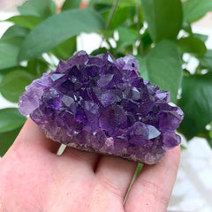 Natural Amethyst Cluster