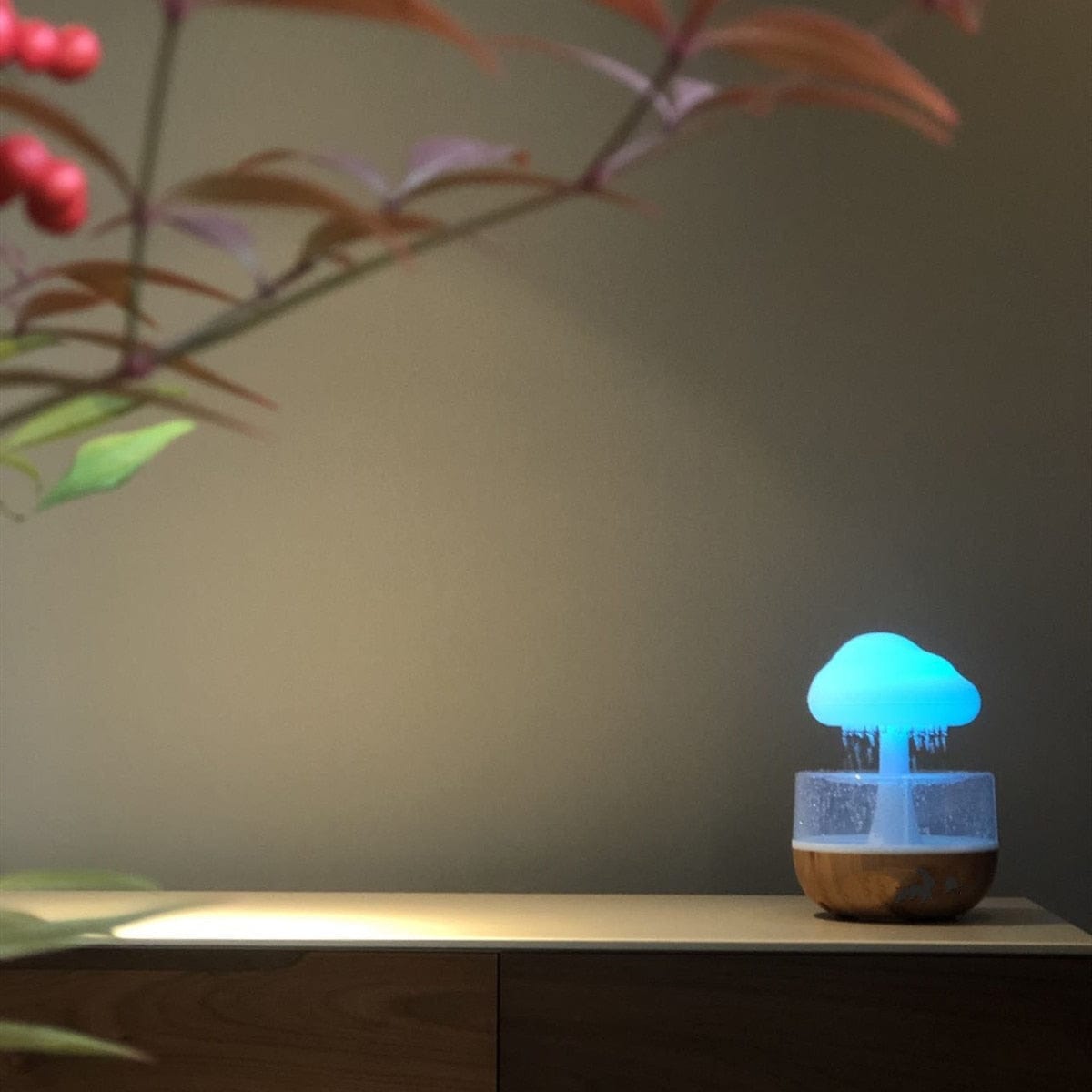 Rainy Cloud Humidifier