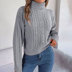 Casual Solid Colour Knit Sweater