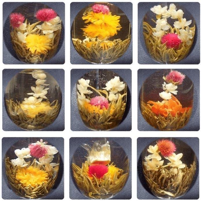 6 Oriental Blooming Teas + Teapot