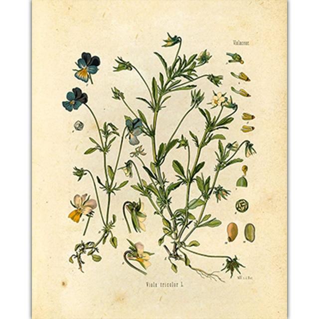 Wild Flowers Wall Art