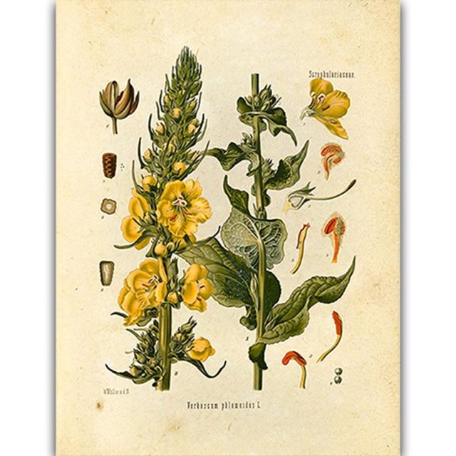 Wild Flowers Wall Art