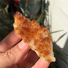 Citrine Quartz Crystal Cluster