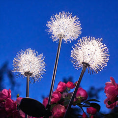 Dandelion Garden Lights